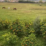 1 Cozy Mountain View With Balcony Breakfast Included * Berati