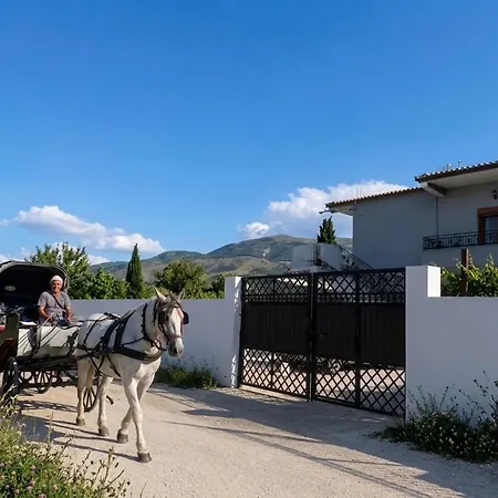 Casa de hóspedes Elis Berati